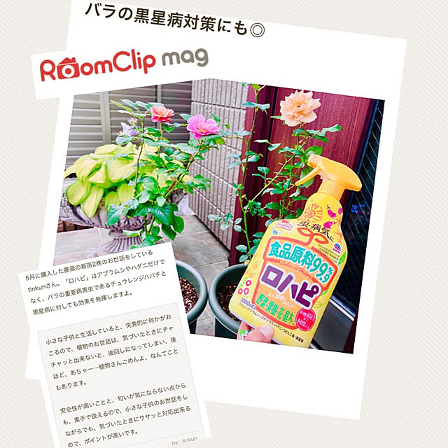 tinkunさんの実例写真