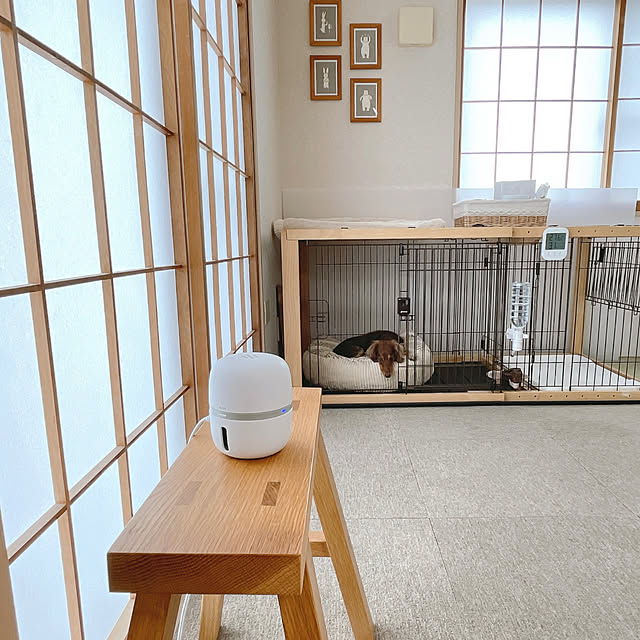 rinoさんの部屋
