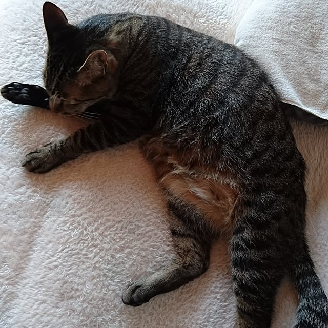 taleo07さんの実例写真