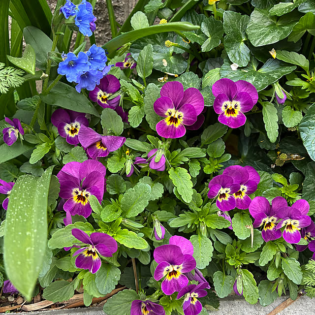 romiromiさんの部屋