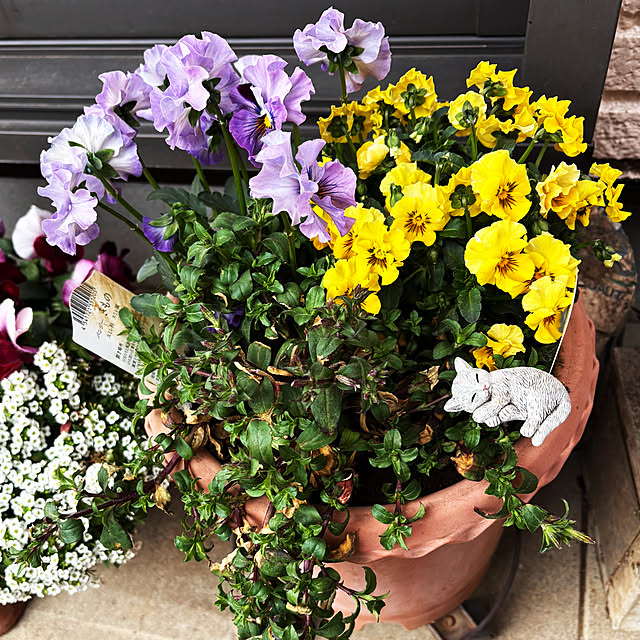 KYONさんの実例写真