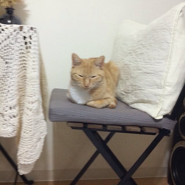 Yasumiさんの実例写真