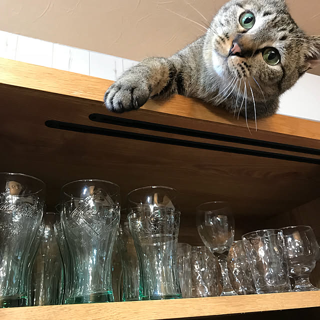 pepeさんの実例写真