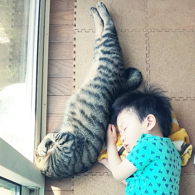 noraさんの実例写真