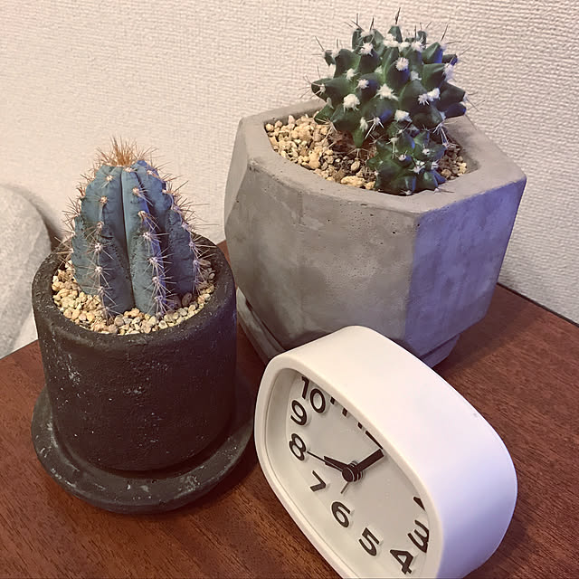 goshiiさんの実例写真