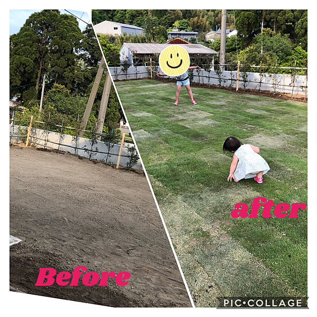 実例写真