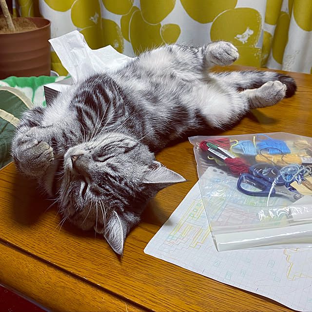 yuzuaoさんの実例写真