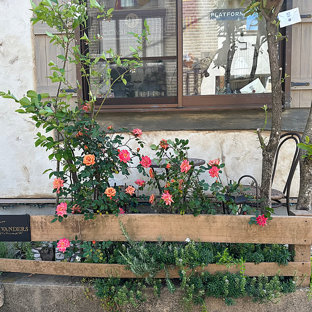 tabasaさんの部屋