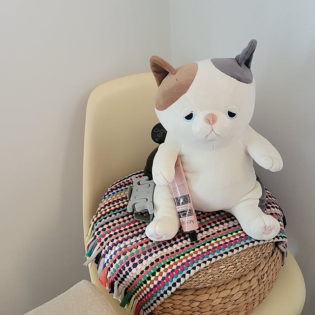 manabuさんの実例写真