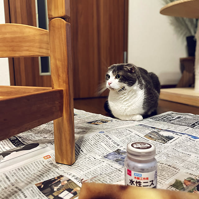 tansukeさんの部屋