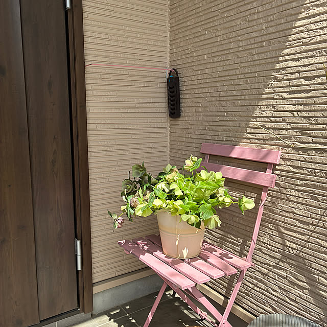 hatsugaさんの実例写真