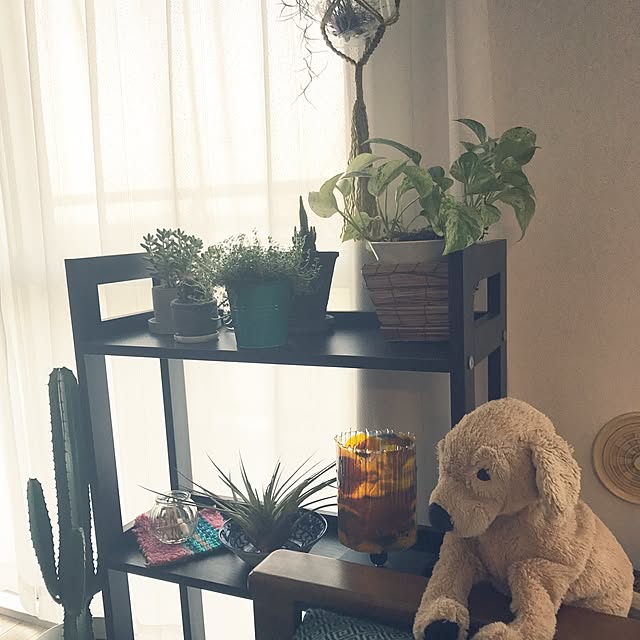 部屋全体/観葉植物/IKEAのインテリア実例 - 2017-03-04 09:11:08