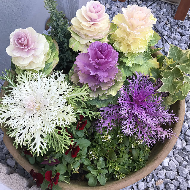 Tomococoroさんの実例写真