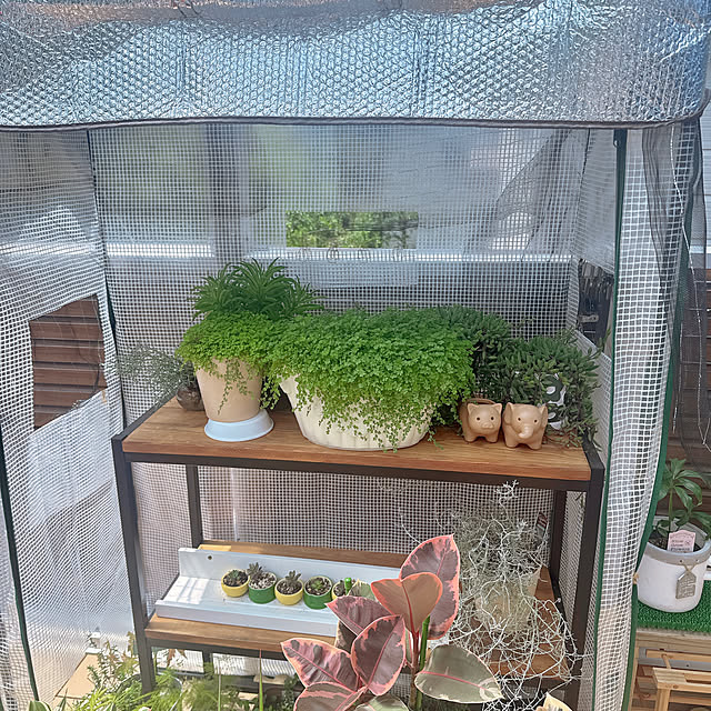 miyuさんの部屋