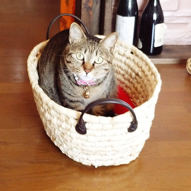 raraさんの実例写真