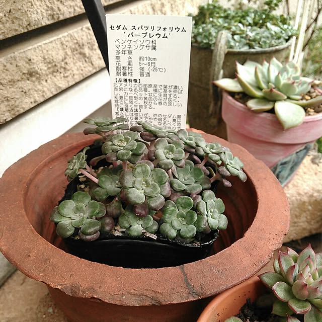 akr29さんの実例写真