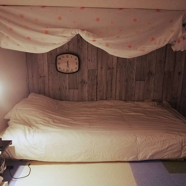 salaさんの実例写真