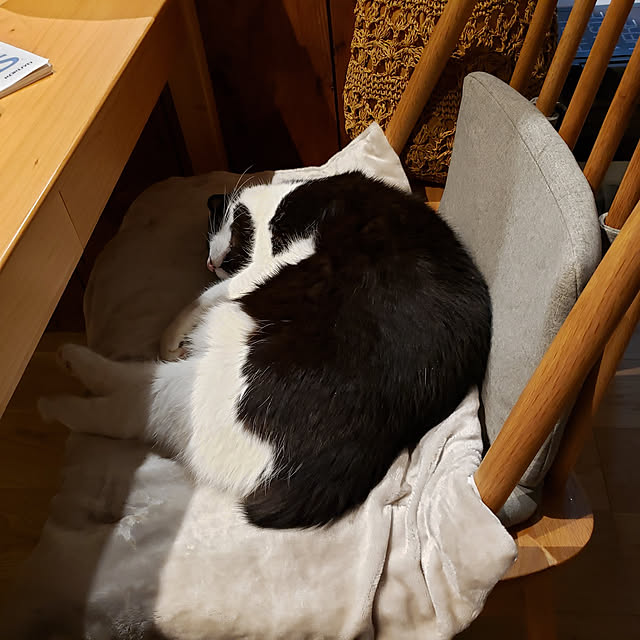 nyagosanさんの実例写真