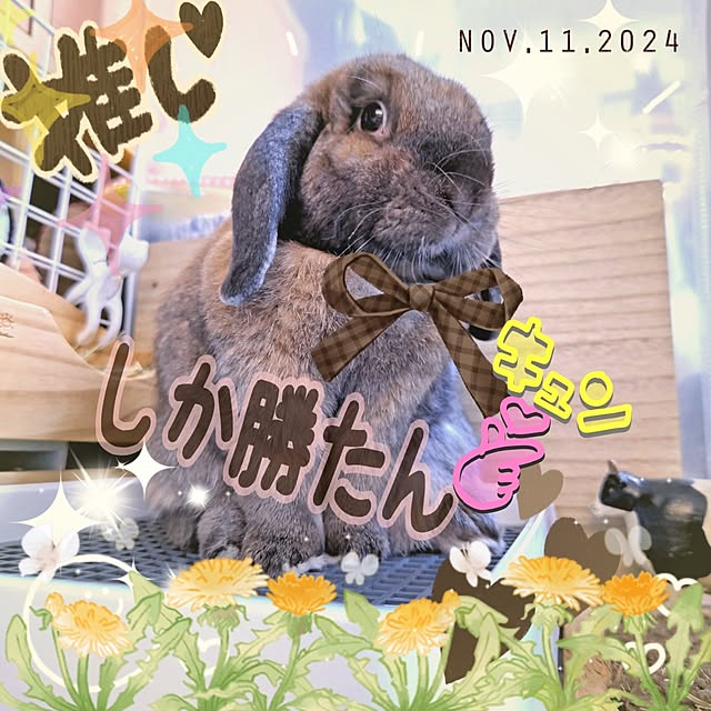mariaさんの実例写真