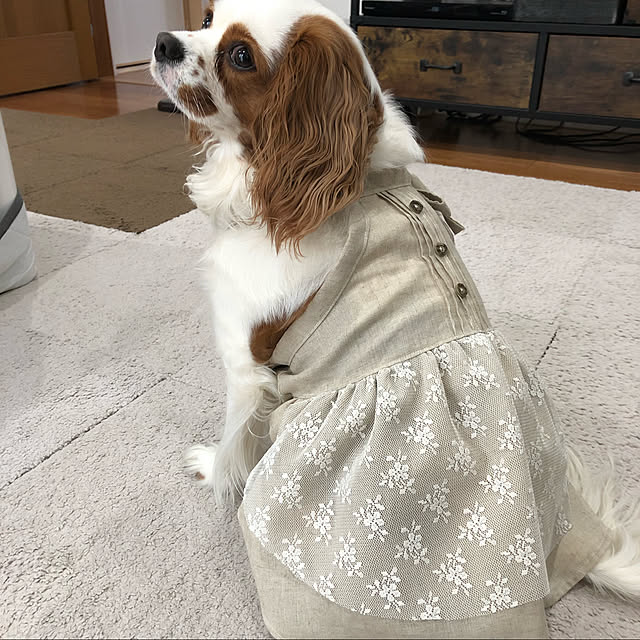 canmilmamaさんの実例写真