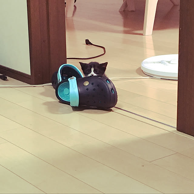 nekoさんの実例写真