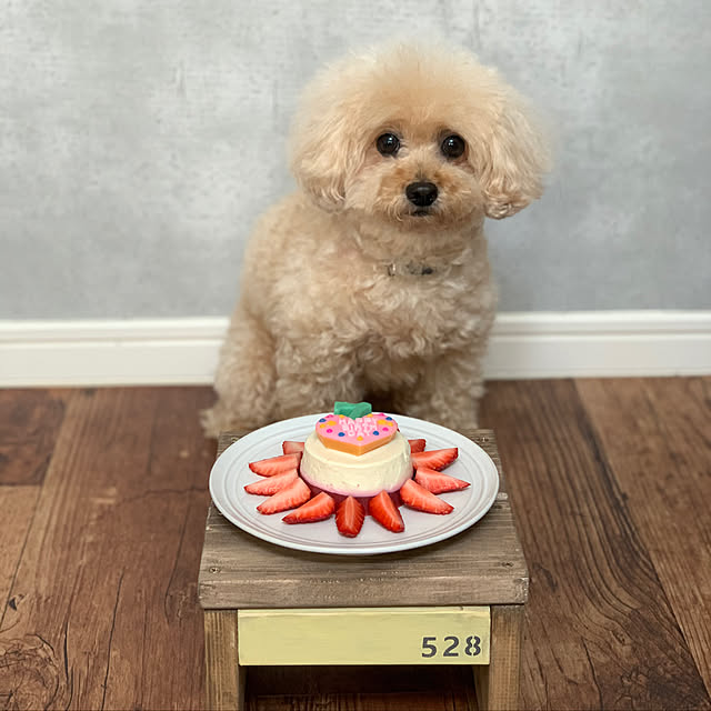 akko1205さんの実例写真