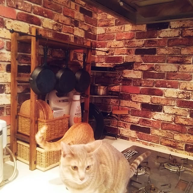 FUKUさんの実例写真