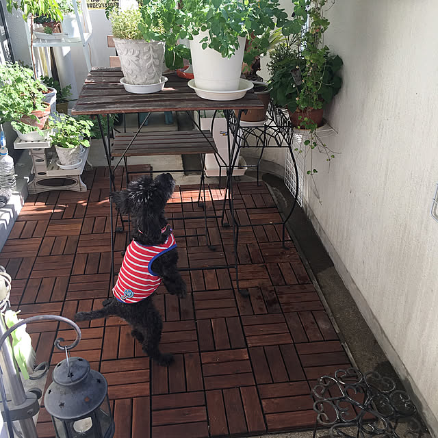 Reiさんの実例写真