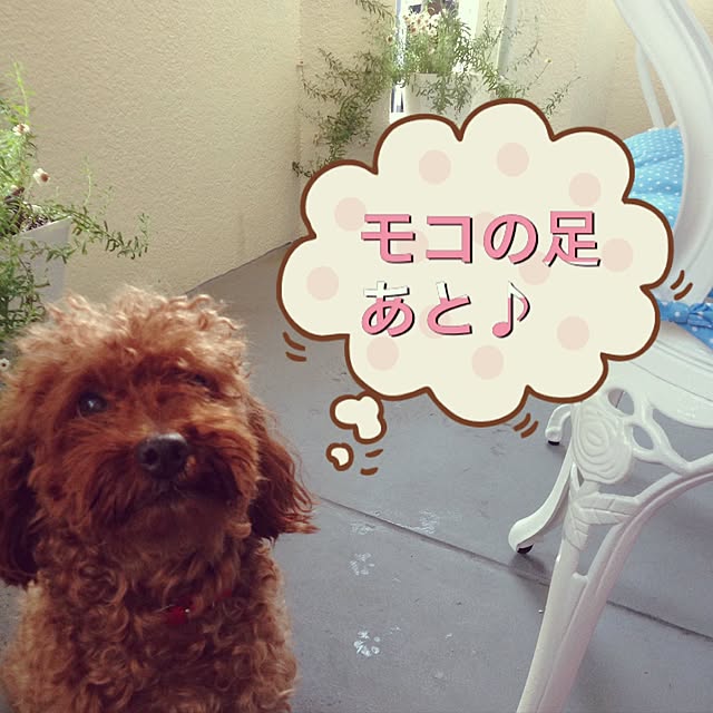 yumicyanさんの実例写真
