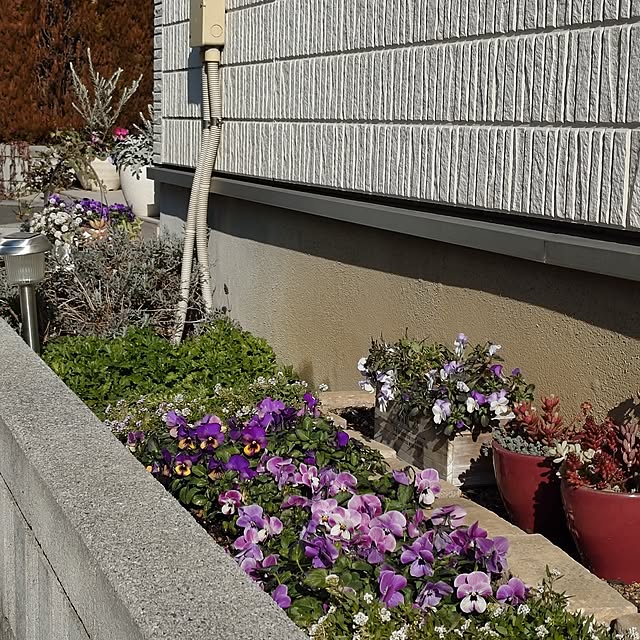 coconathuさんの実例写真