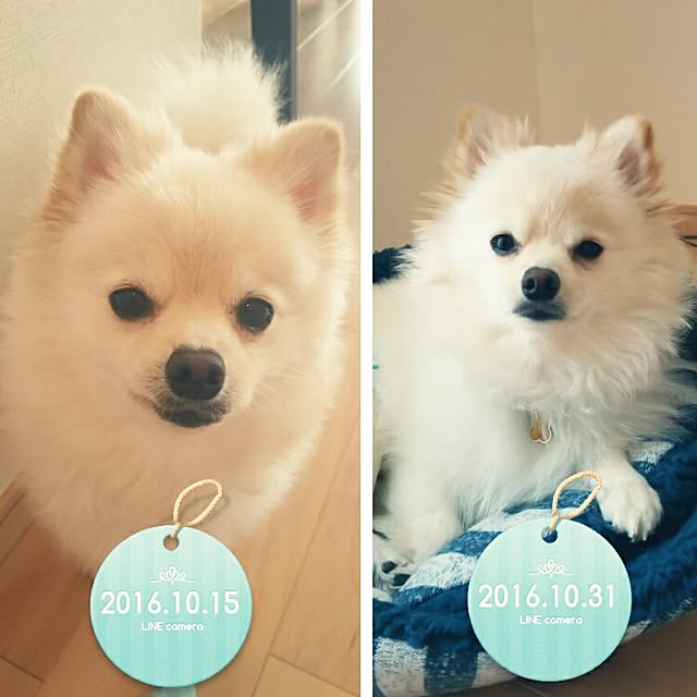 yuki15さんの実例写真