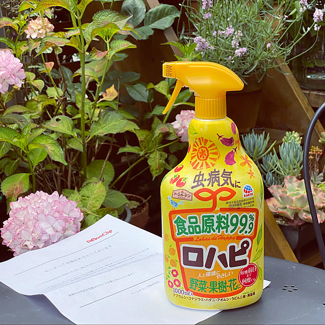mintteaさんの実例写真