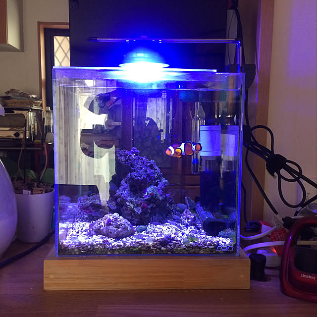 DIY/キッチンのインテリア実例 - 2020-02-24 15:10:04