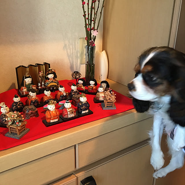 cikoさんの実例写真