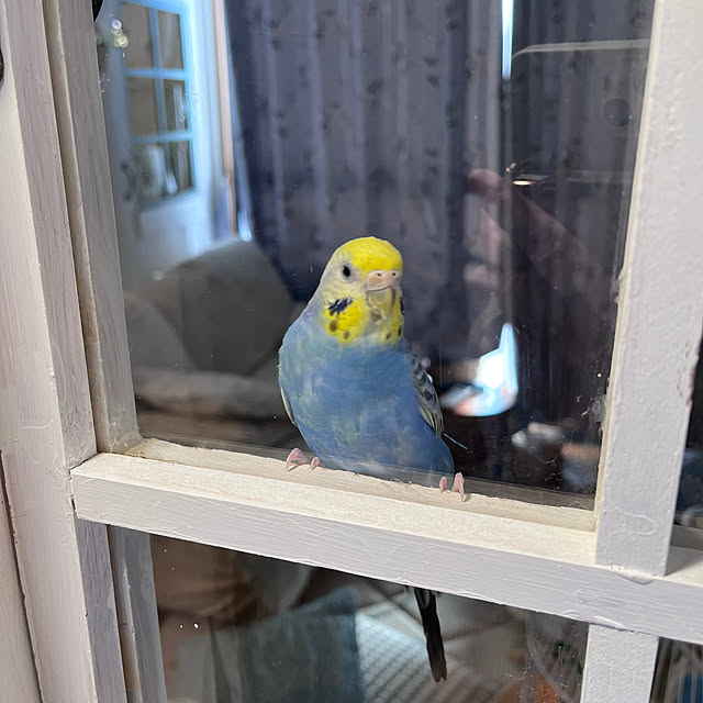 Atsukoさんの部屋
