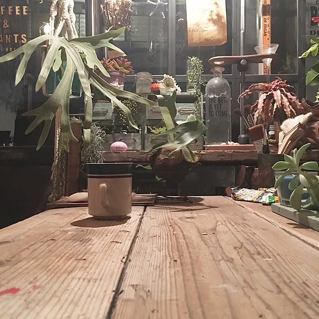 edenさんの実例写真