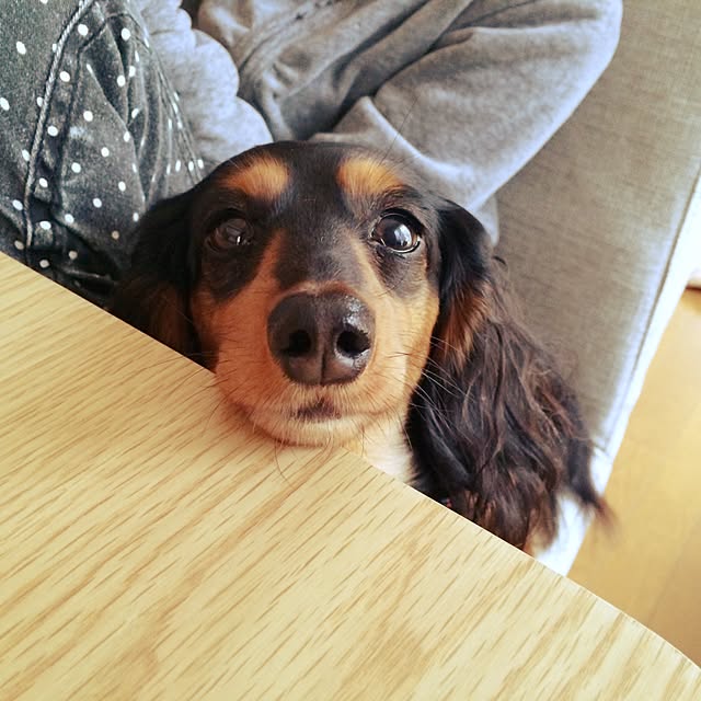 amihimeさんの実例写真