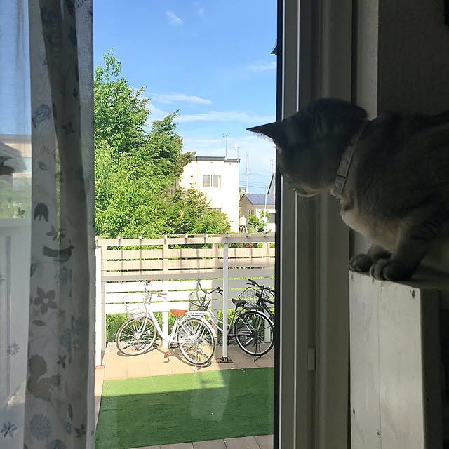 kotoriさんの実例写真