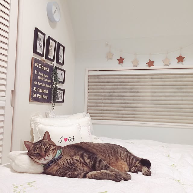 lovecatさんの実例写真