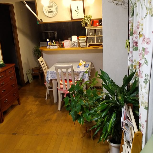 tomoko.tk1130Tomさんの実例写真