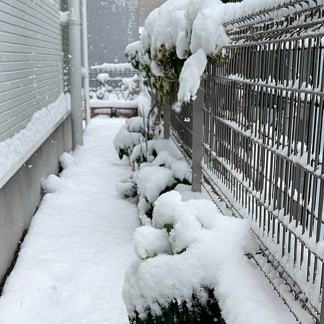 nonnonさんの部屋