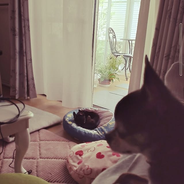 Bienvenueさんの実例写真