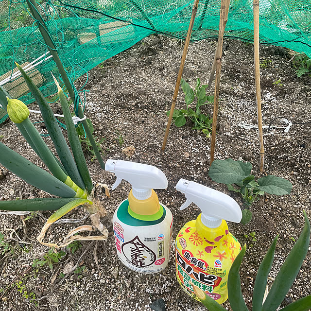 RAGIさんの実例写真