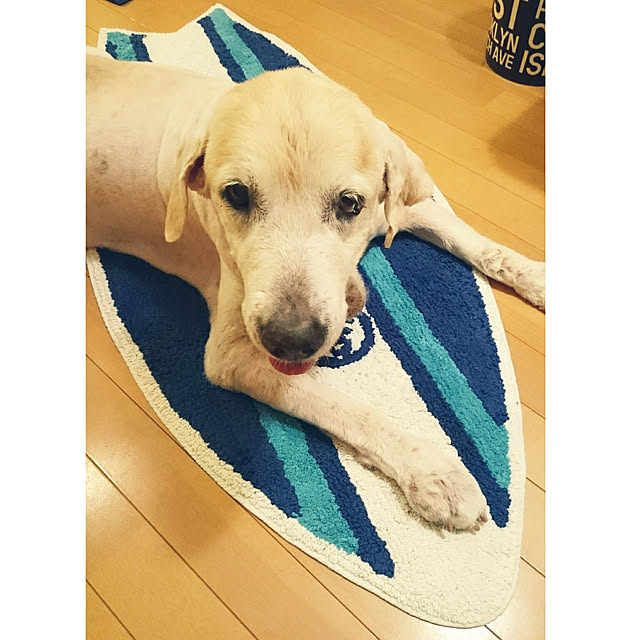 mikamikaさんの実例写真