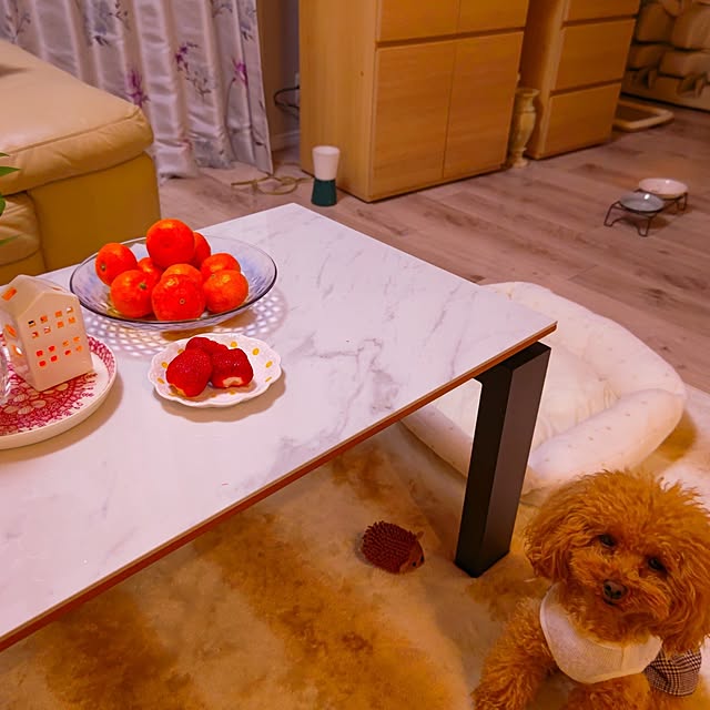 erisavesu4さんの実例写真