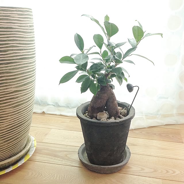 eriinさんの実例写真