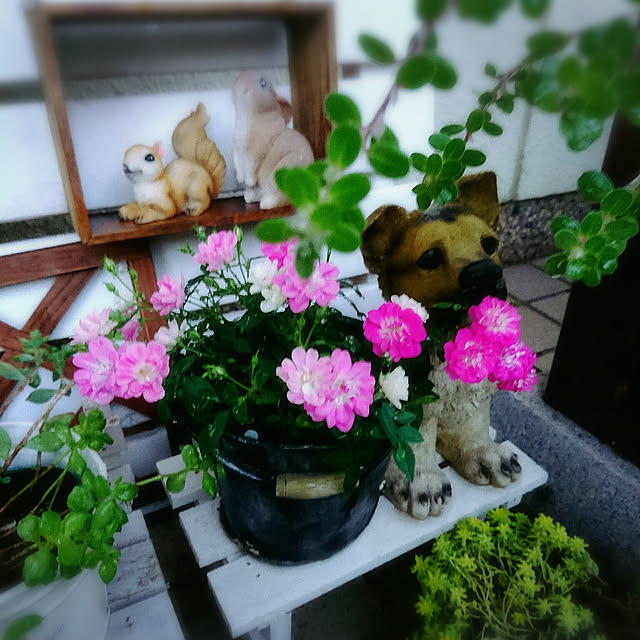 seiko44さんの実例写真