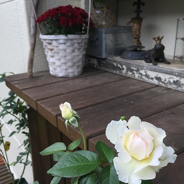 happygardenさんの実例写真
