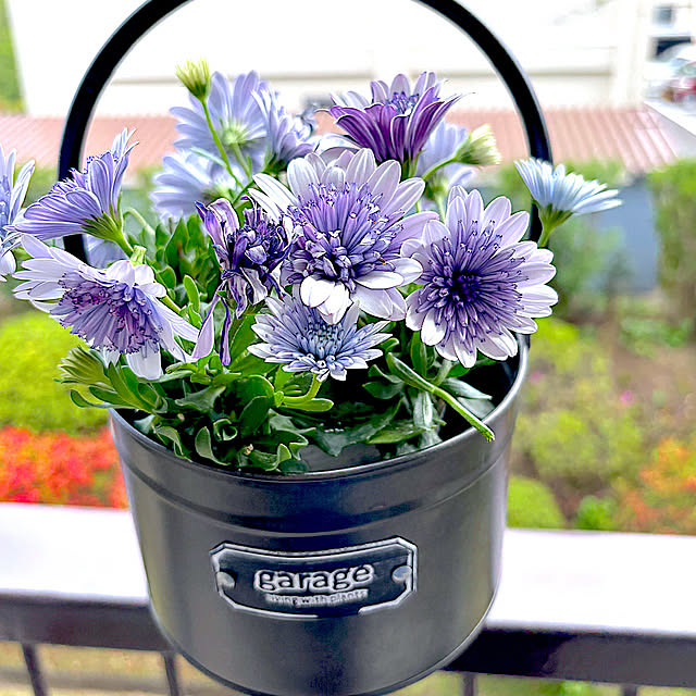 syutmmさんの実例写真