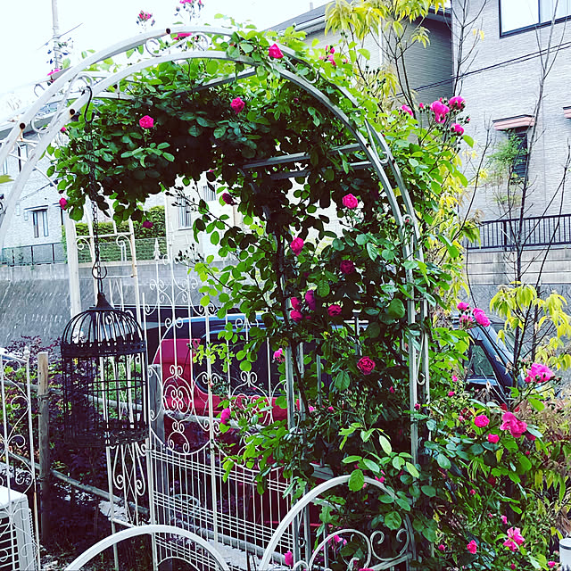 yokkochanさんの実例写真